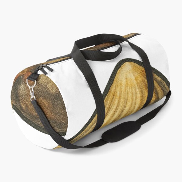 Item preview, Limpet Shell Sticker – Realistic Marine Mollusk Design designed and sold by Vendeloc.