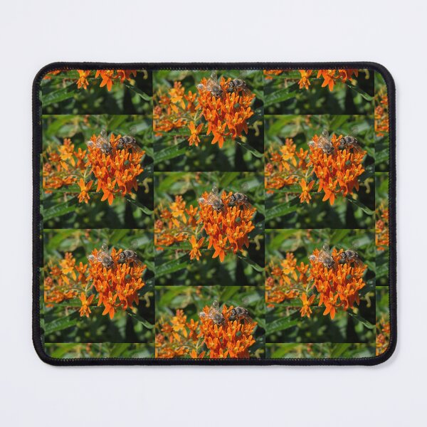 Item preview, Honeybees on butterfly weed designed and sold by J Rier Photography.