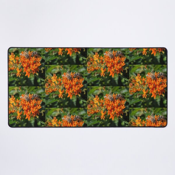 Item preview, Honeybees on butterfly weed designed and sold by J Rier Photography.