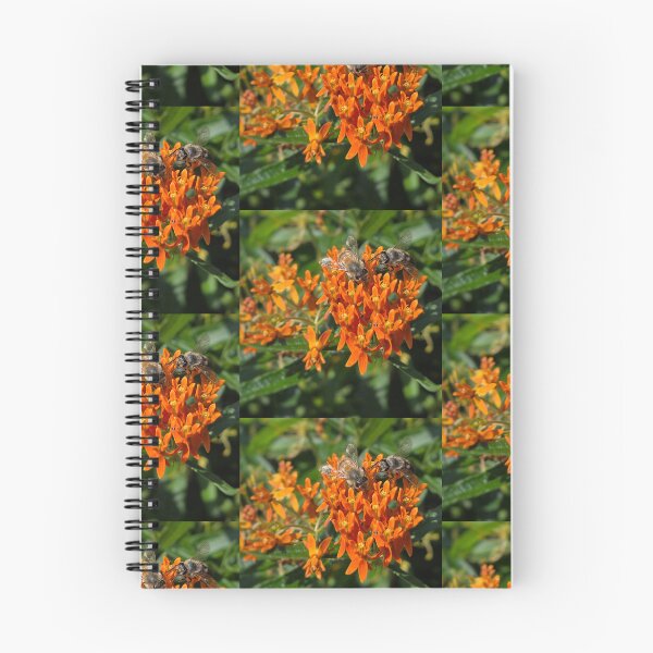 Item preview, Honeybees on butterfly weed designed and sold by J Rier Photography.