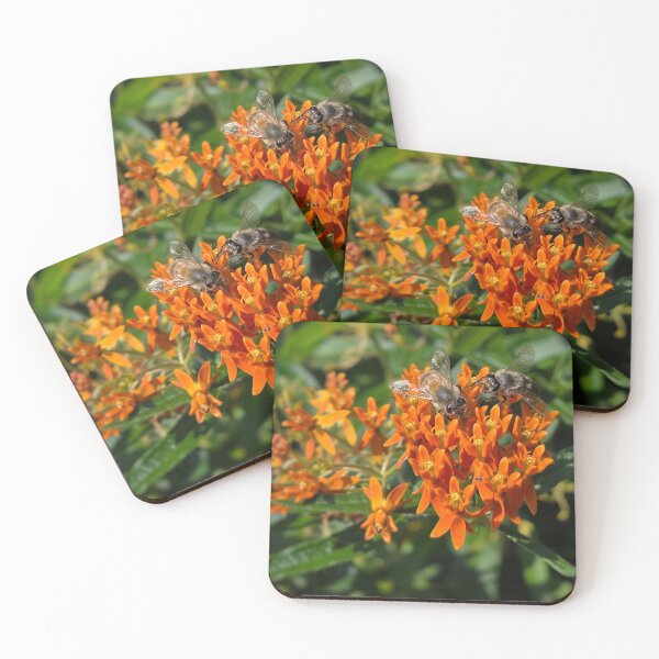 Item preview, Honeybees on butterfly weed designed and sold by J Rier Photography.