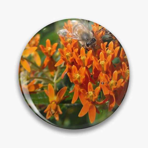 Item preview, Honeybees on butterfly weed designed and sold by J Rier Photography.