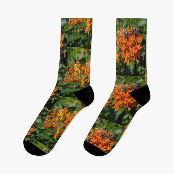 Item preview, Honeybees on butterfly weed designed and sold by J Rier Photography.
