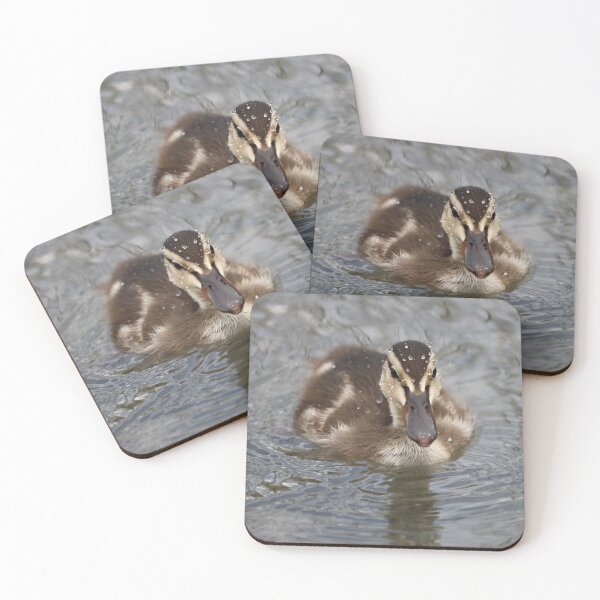 Item preview, Mallard Duckling designed and sold by OhSnapPhoto.