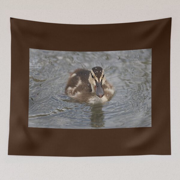 Item preview, Mallard Duckling designed and sold by OhSnapPhoto.