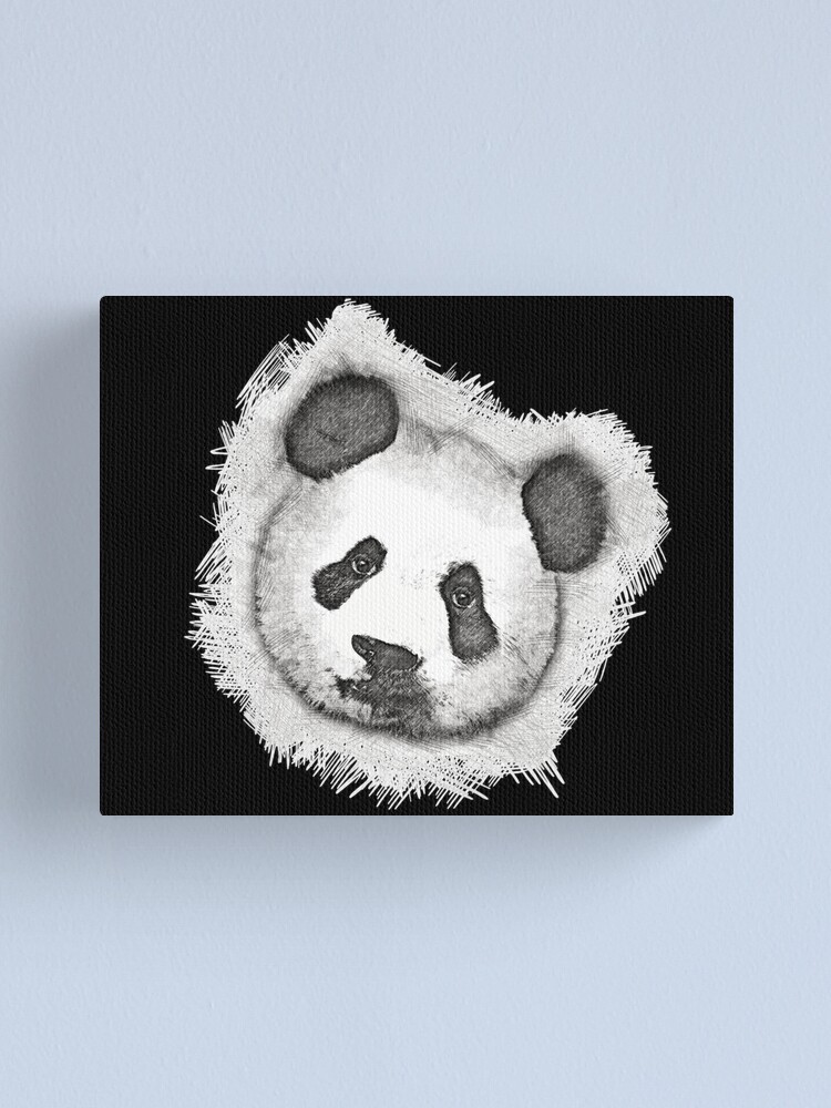 Die Panda Skizze Leinwanddruck Von Jasperdesigns Redbubble