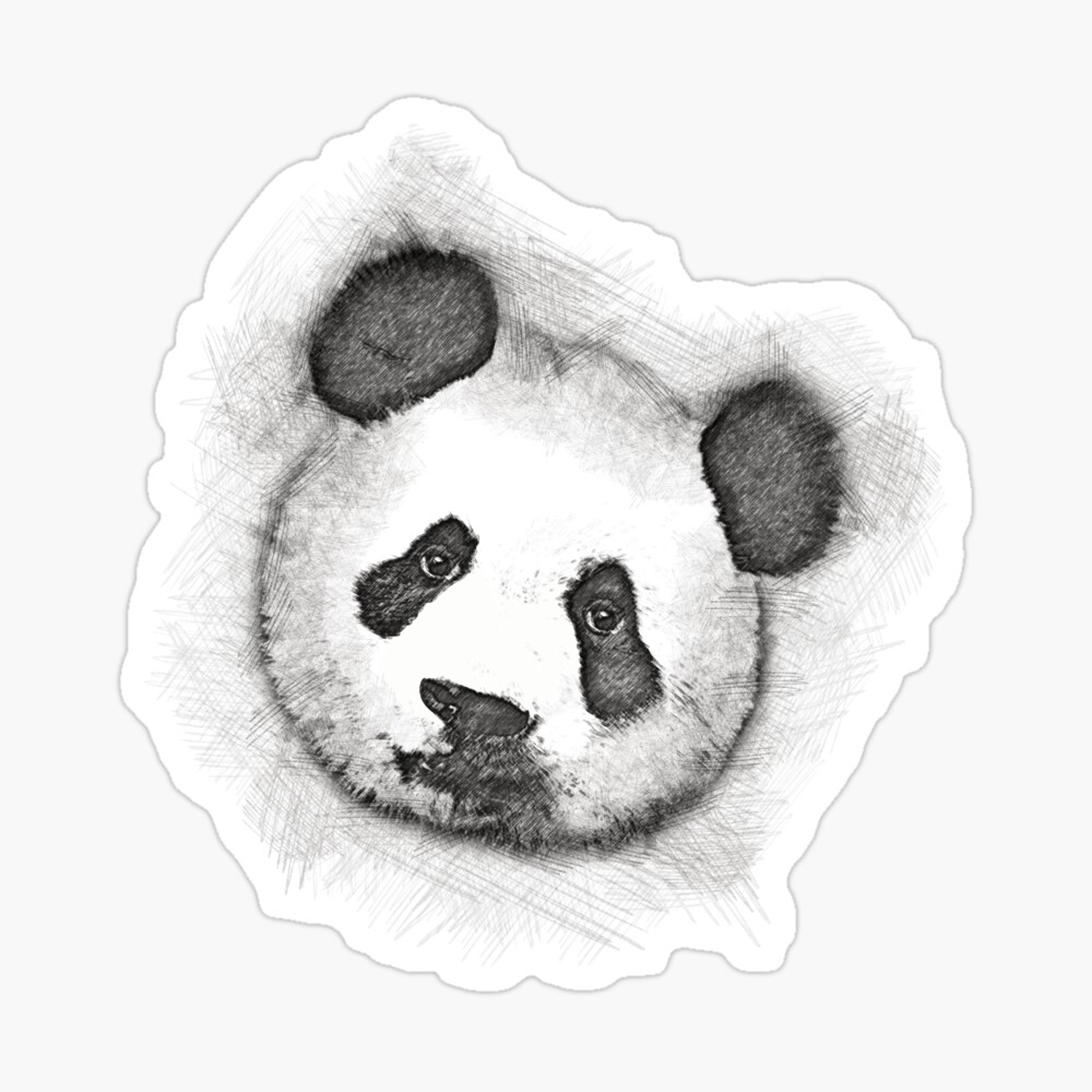 Die Panda Skizze Leinwanddruck Von Jasperdesigns Redbubble