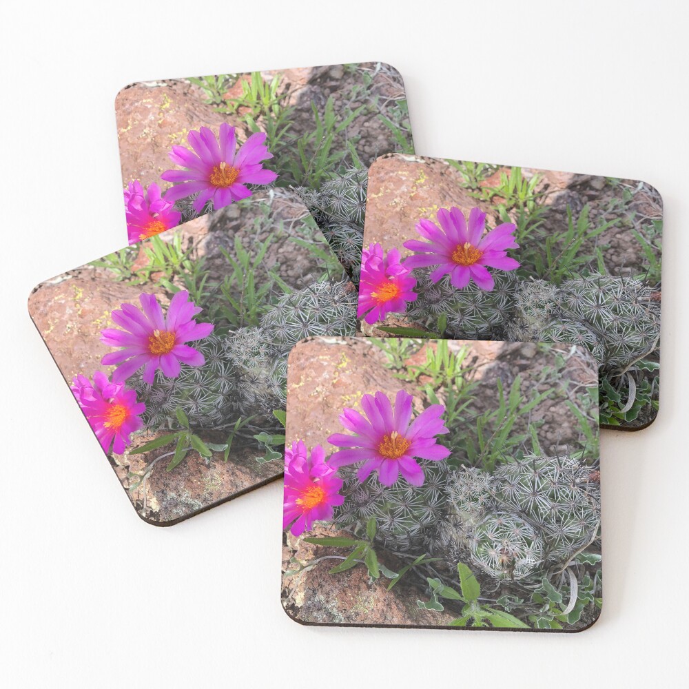 Item preview, Coasters (Set of 4) designed and sold by RDLT.
