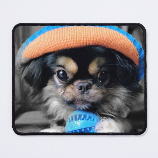 Item preview, Fotografado com amor, para quem vive de carinho e café. designed and sold by 8807A5.