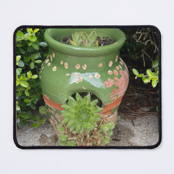 Item preview, Hens and Chicks Planter designed and sold by Twittlefish.
