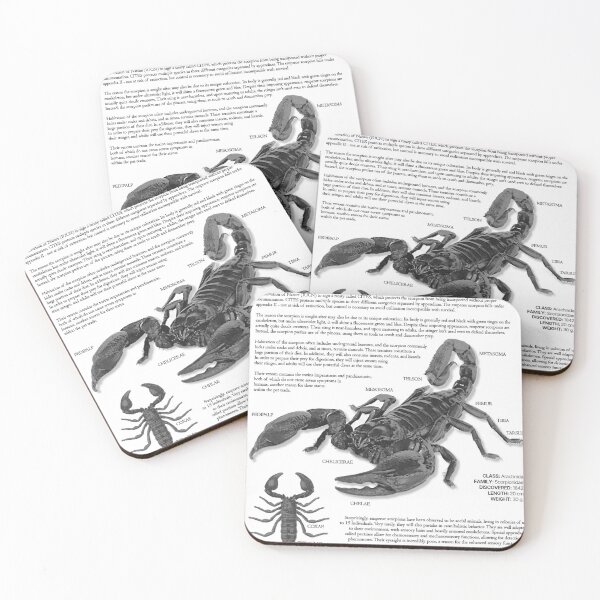 Item preview, Emperor Scorpion Scientific Poster designed and sold by LiftoffDesigns.