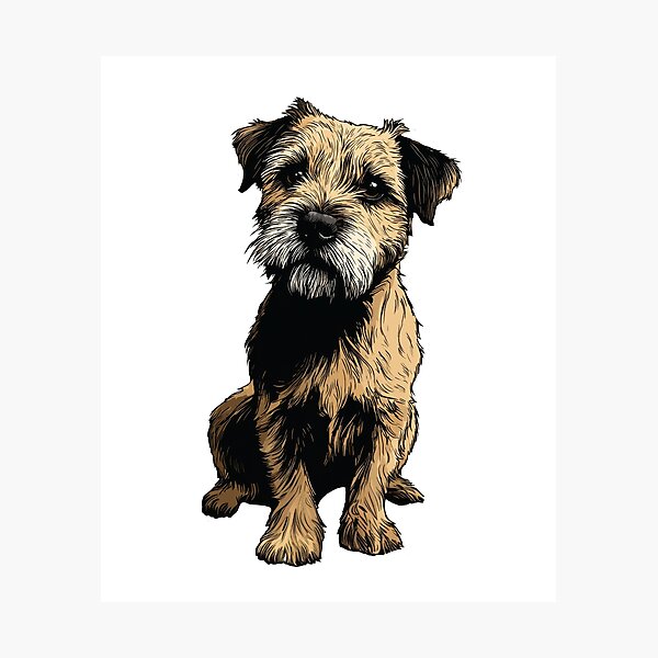 Item preview, Border Terrier Dog Illustration designed and sold by whyitsme.
