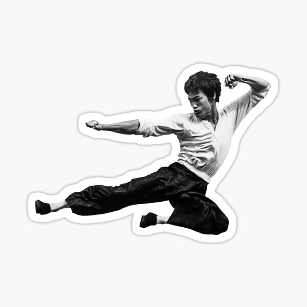 Aufkleber Sticker Bruce Lee
