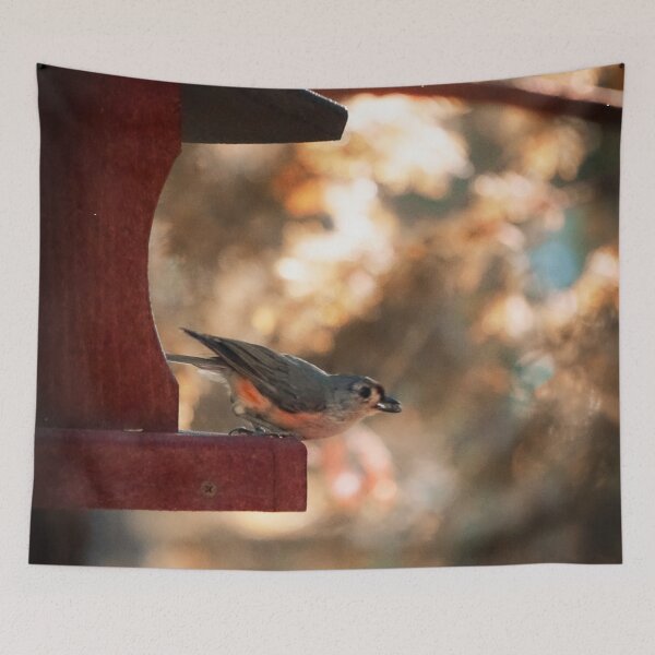 Item preview, A Bird and it's house designed and sold by RollingRC.