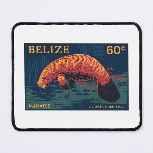 Item preview, Belize West Indian Manatee Stamp Poster designed and sold by retrographics.