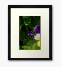 Birth Framed Print