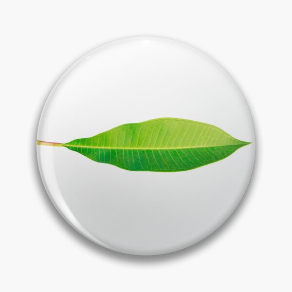 Item preview, Green fresh leaf of of Plumeria, also known as Chinese plumeria.  designed and sold by MiMee4451.