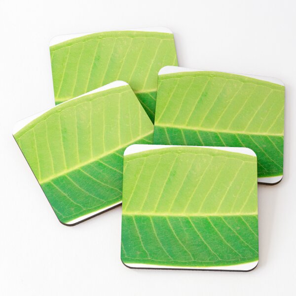 Item preview, Green fresh leaf of of Plumeria, also known as Chinese plumeria.  designed and sold by MiMee4451.