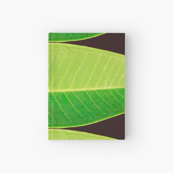 Item preview, Green fresh leaf of of Plumeria, also known as Chinese plumeria.  designed and sold by MiMee4451.