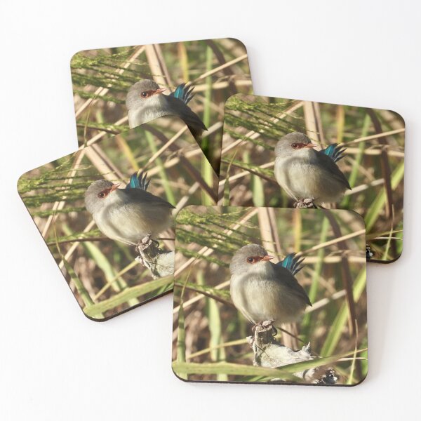 Item preview, Variegated fairy wren Dundowran Beach  designed and sold by Mark Grimsley.