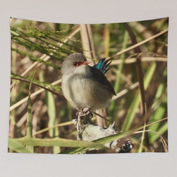 Item preview, Variegated fairy wren Dundowran Beach  designed and sold by Mark Grimsley.