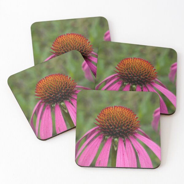 Item preview, Purple Coneflower in Bloom designed and sold by GlimpseOfNature.