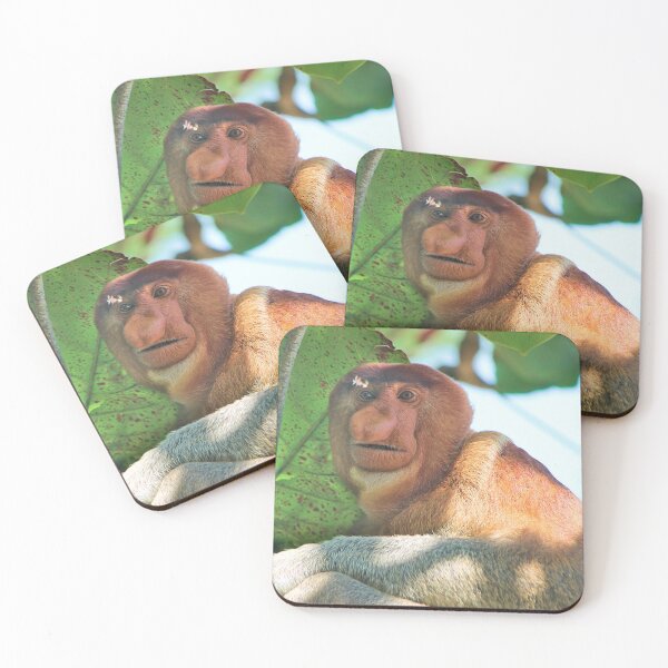 Item preview, Probosicis monkey designed and sold by Melville.Collective.