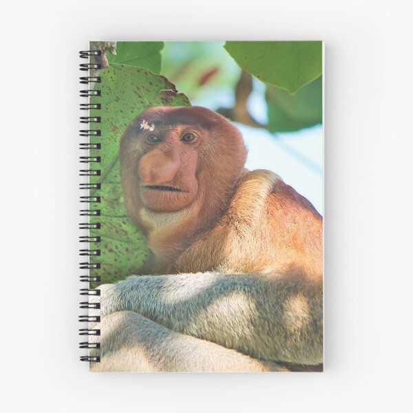 Item preview, Probosicis monkey designed and sold by Melville.Collective.