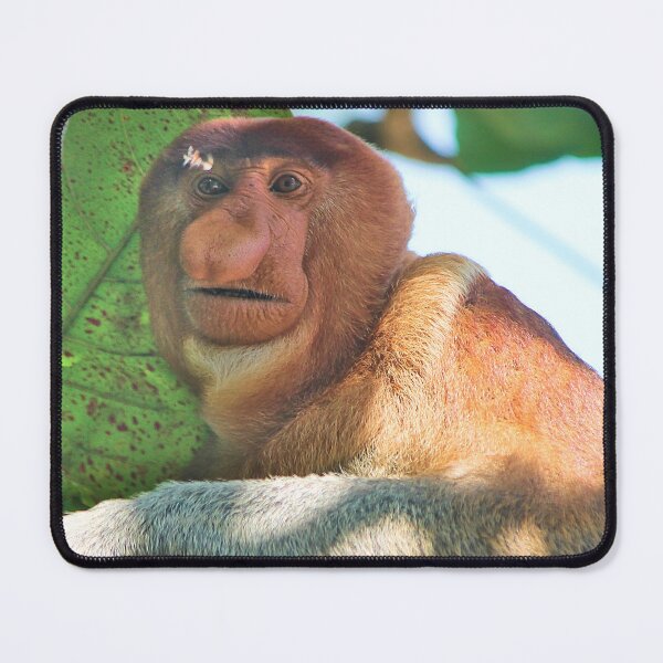 Item preview, Probosicis monkey designed and sold by Melville.Collective.