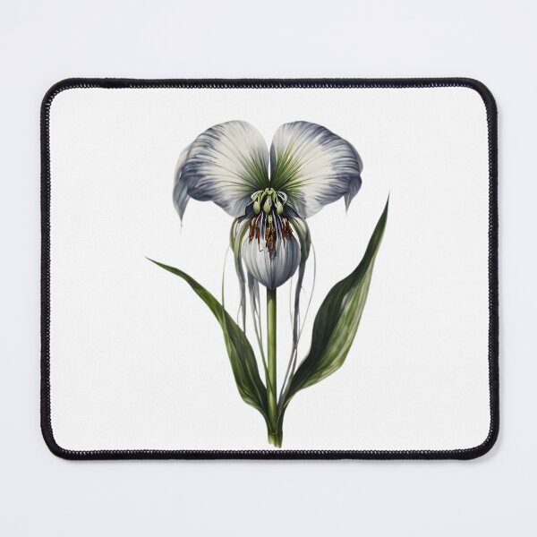 Item preview, Bat Flower (Tacca chantrieri) designed and sold by HOMETOWN86.