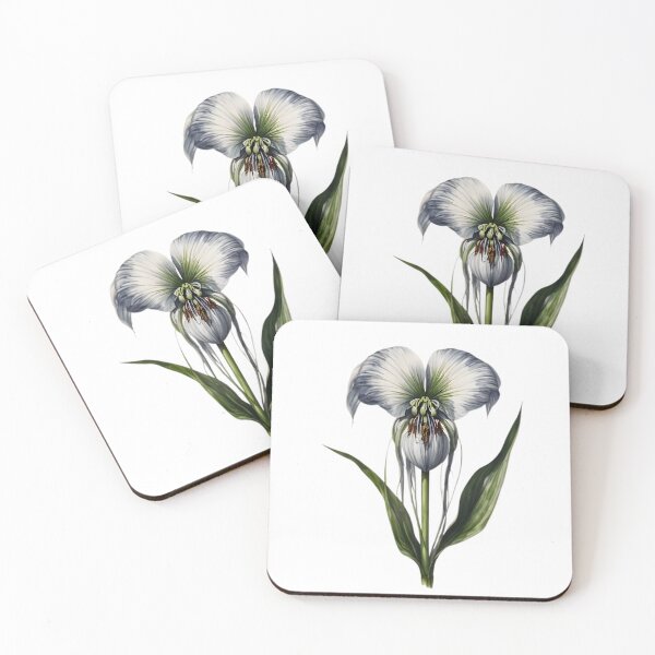Item preview, Bat Flower (Tacca chantrieri) designed and sold by HOMETOWN86.