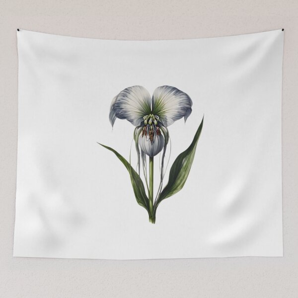 Item preview, Bat Flower (Tacca chantrieri) designed and sold by HOMETOWN86.