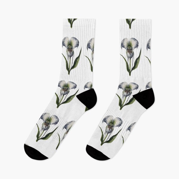 Item preview, Bat Flower (Tacca chantrieri) designed and sold by HOMETOWN86.