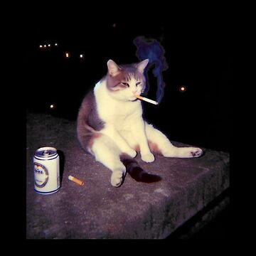 cat with cigarette Smoking Cat Meme Shirt – Funny Cigarette Kitten Brainrot Tee