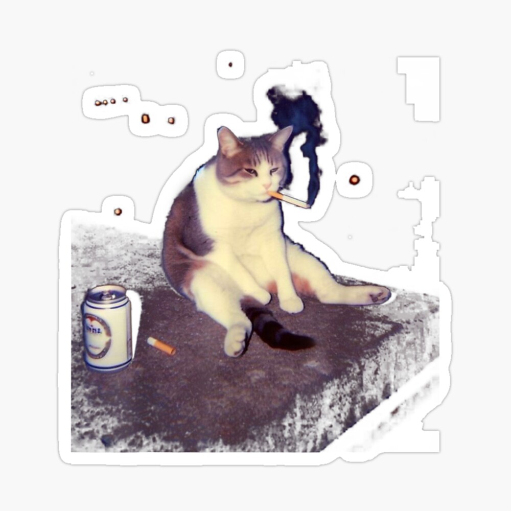 Smoking Cat Meme Shirt – Funny Cigarette Kitten Brainrot Tee Photographic Print