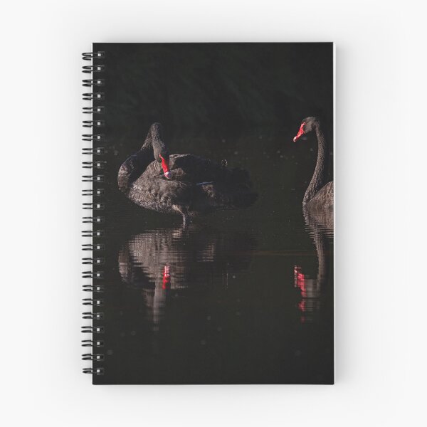 Item preview, Black Swans - Morning Light designed and sold by Peter Caddy.