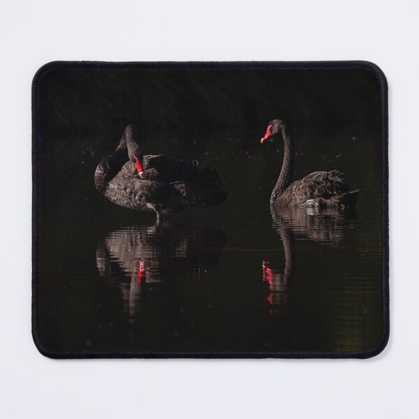 Item preview, Black Swans - Morning Light designed and sold by Peter Caddy.