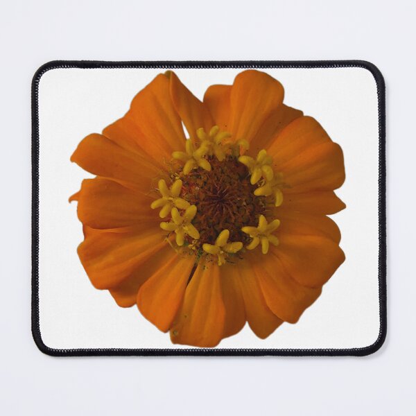 Item preview, Orange Zinnia designed and sold by LoveGraceValor.