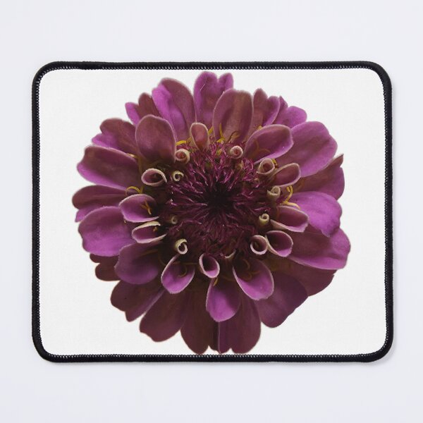 Item preview, Pink Zinnia designed and sold by LoveGraceValor.