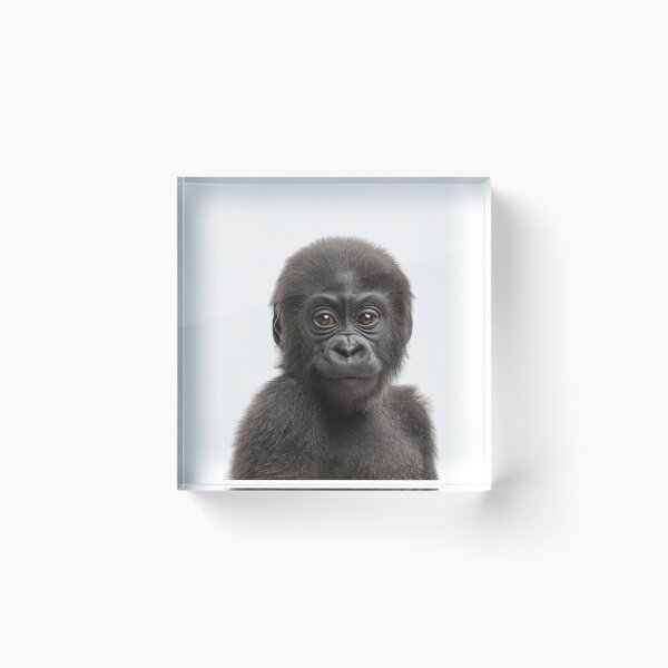 Item preview, Adorable Baby Gorilla for Cute Gorilla lovers designed and sold by LazyOwlStore.