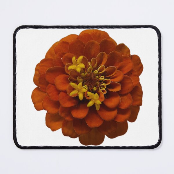 Item preview, Orange Zinnia 2 designed and sold by LoveGraceValor.