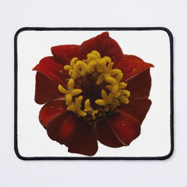 Item preview, Red Zinnia designed and sold by LoveGraceValor.
