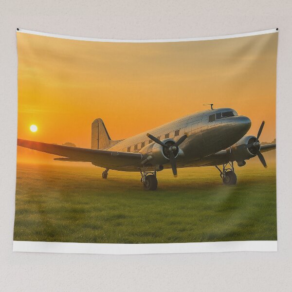 Item preview, Douglas DC-3 Vintage Wings of Freedom designed and sold by Skyframe Aviation.
