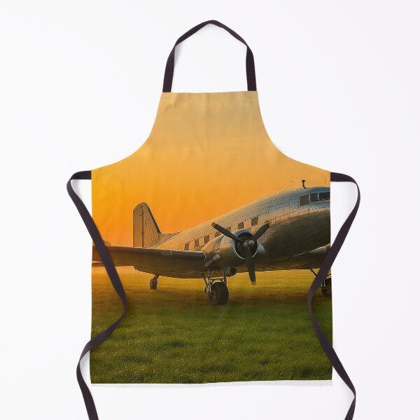 Item preview, Douglas DC-3 Vintage Wings of Freedom designed and sold by Skyframe Aviation.