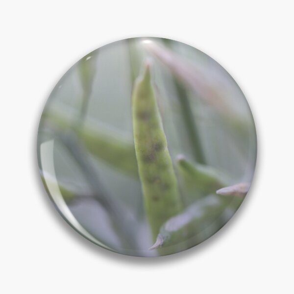 Item preview, Softness designed and sold by Siene Browne.