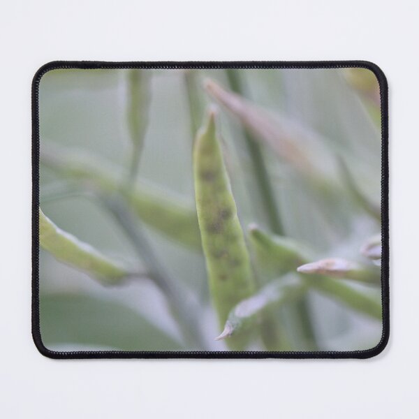 Item preview, Softness designed and sold by Siene Browne.