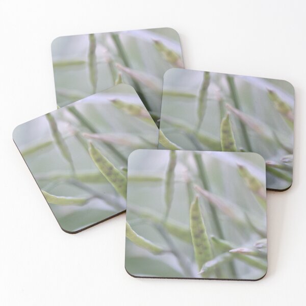 Item preview, Softness designed and sold by Siene Browne.