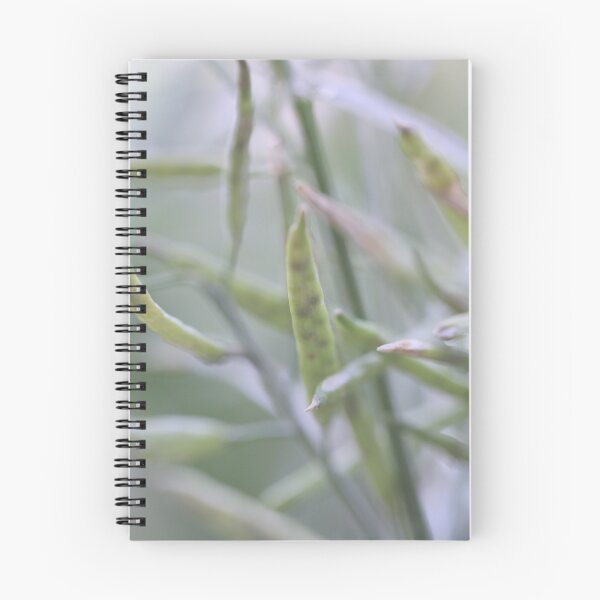 Item preview, Softness designed and sold by Siene Browne.