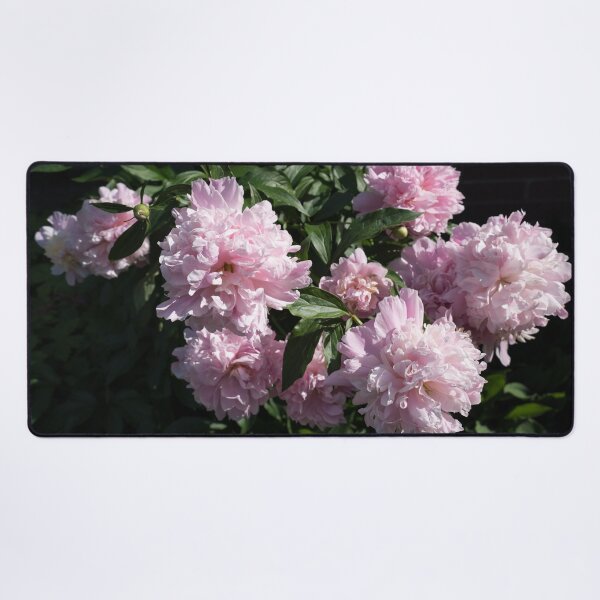 Item preview, A Splendid Bunch of Baby Pink Peonies designed and sold by Georgia Mizuleva.