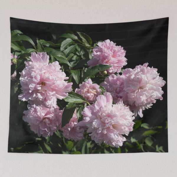 Item preview, A Splendid Bunch of Baby Pink Peonies designed and sold by Georgia Mizuleva.